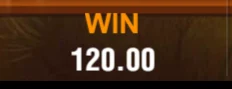 WIN sa larawan ng provider